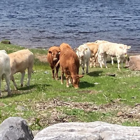 Alpesi faház Lakeside
